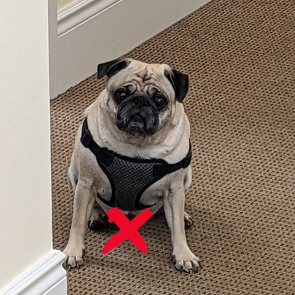 Meet Tim - Picture 2 of 3